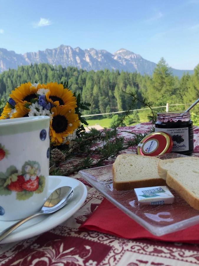 Rifugio Caltena Fiera Di Primiero Zewnętrze zdjęcie