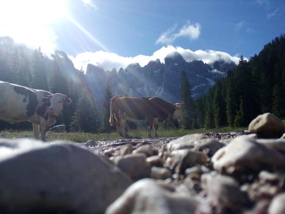 Rifugio Caltena Fiera Di Primiero Zewnętrze zdjęcie