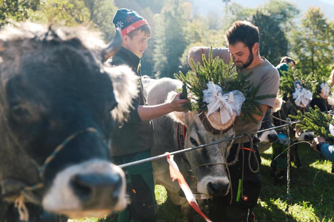 Rifugio Caltena Fiera Di Primiero Zewnętrze zdjęcie