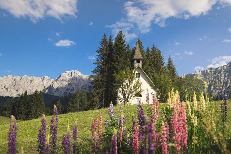 Rifugio Caltena Fiera Di Primiero Zewnętrze zdjęcie