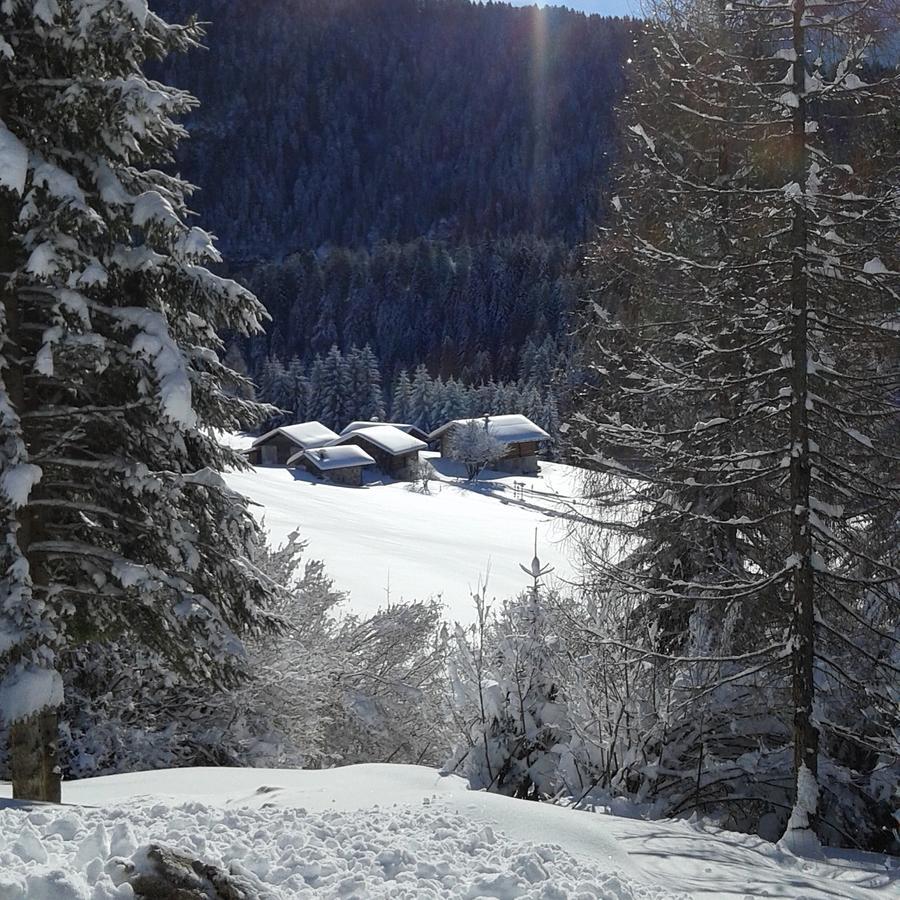 Rifugio Caltena Fiera Di Primiero Zewnętrze zdjęcie